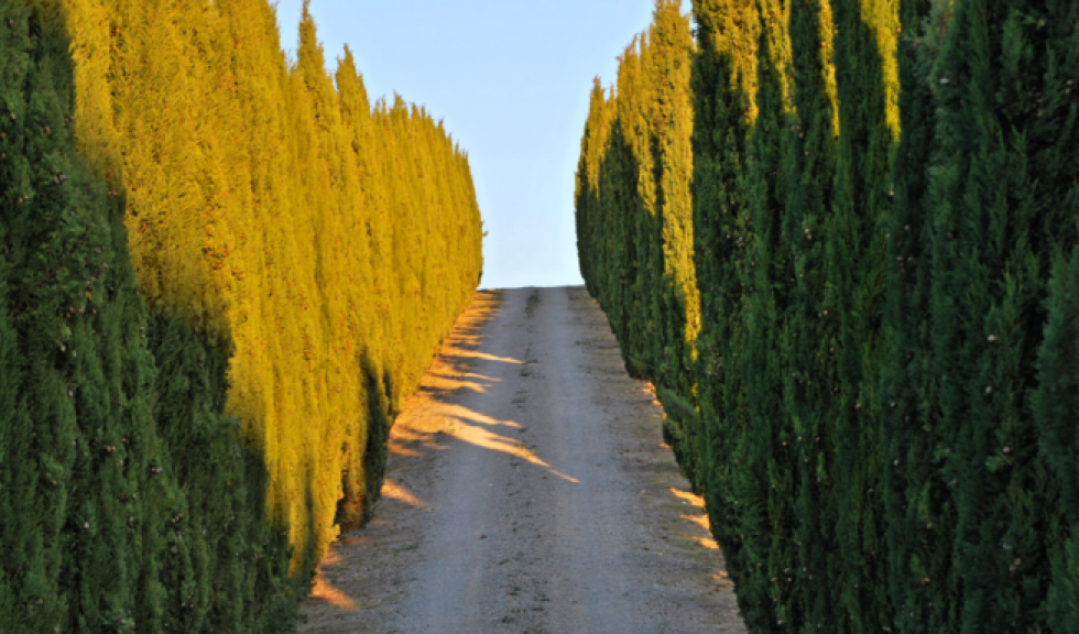 GUIDA ALLE LOCALITÀ VICINE A SAN GIMIGNANO