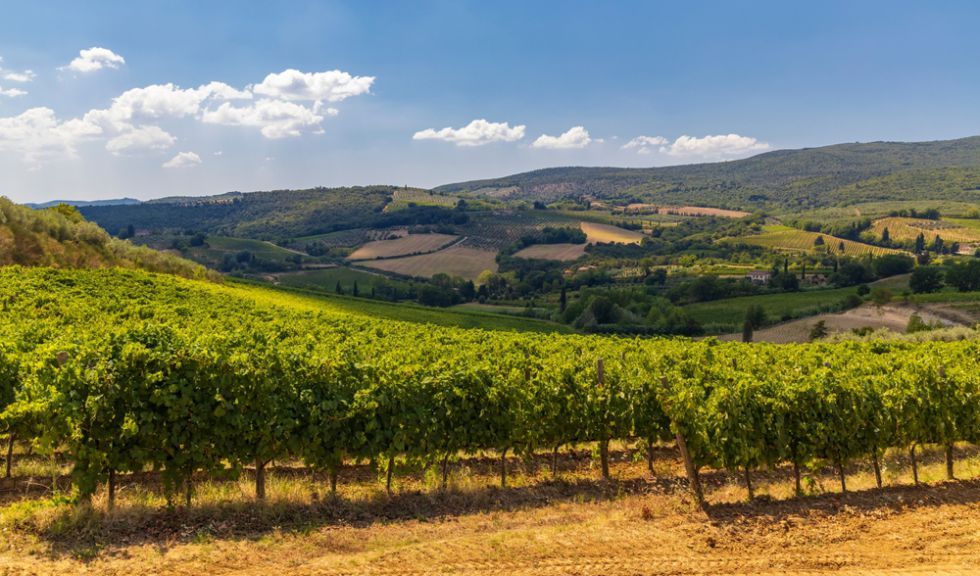 CASE CON VIGNETO IN VENDITA VICINO A SAN GIMIGNANO