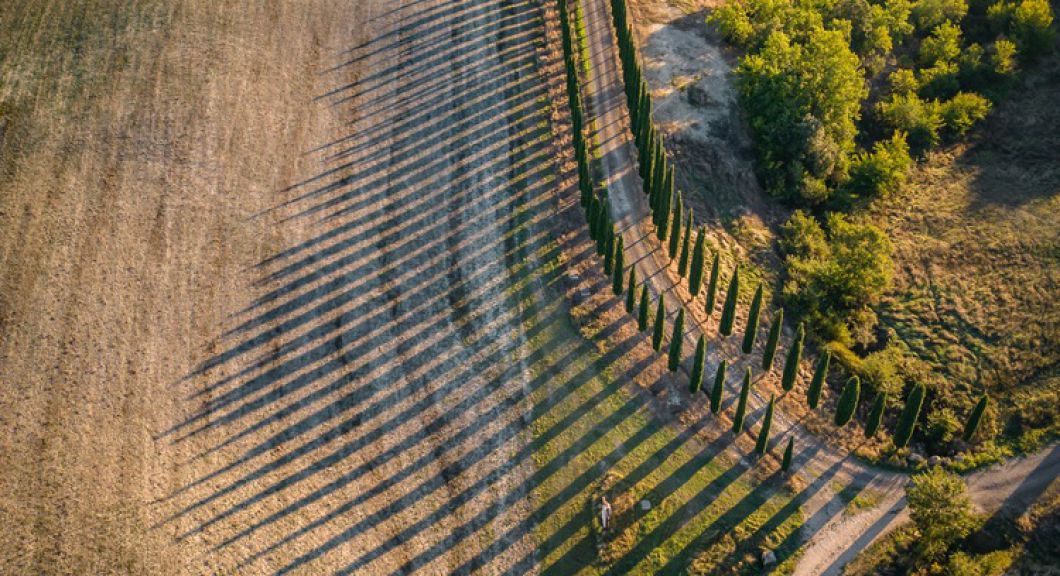 VALDELSA E SIENA EVENTI CULTURALI E FESTIVAL DA NON PERDERE