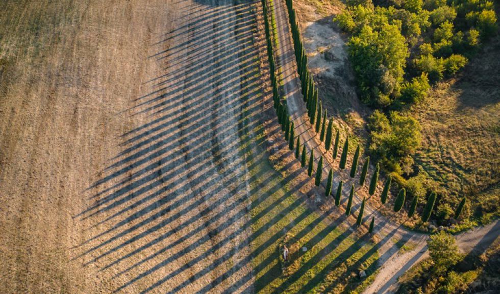 VALDELSA E SIENA EVENTI CULTURALI E FESTIVAL DA NON PERDERE