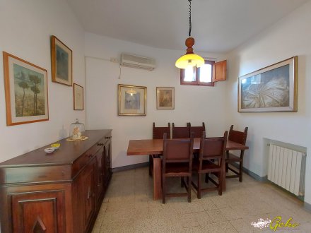 Apartmento 80 sqm with garden in the historical centre