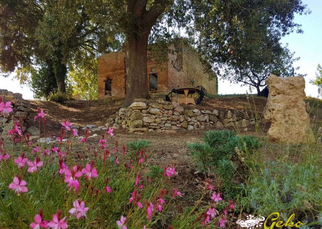 Vendita Rustici e Casali San Gimignano - Casale in campagna a San Gimignano con terreni Località Campagna