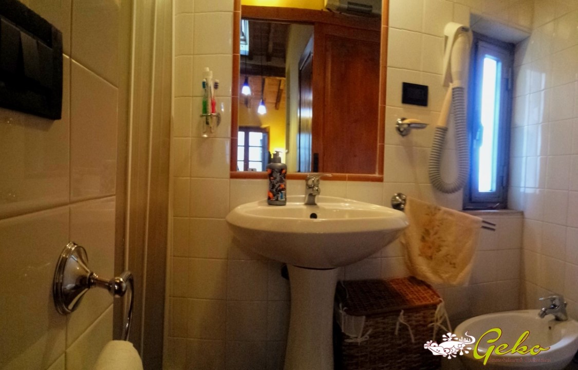 Appartamento SAN GIMIGNANO affitto  San Gimignano  Geko immobiliare