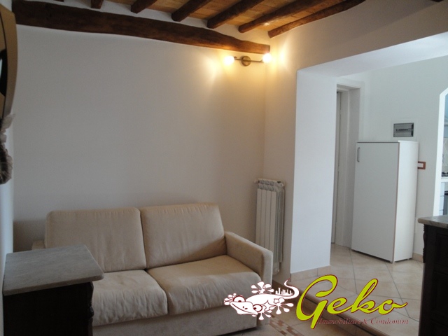 Appartamento SAN GIMIGNANO affitto  San Gimignano  Geko immobiliare